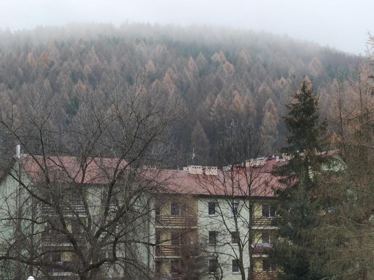 Apartament Wataha Ustrzyki Dolne Esterno foto